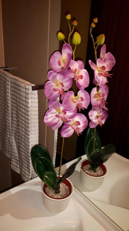 הוילה פונשל Casa Violeta מראה חיצוני תמונה